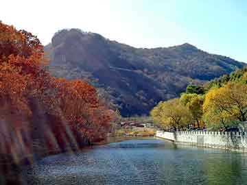 新澳天天开奖资料大全旅游团，免拆模板